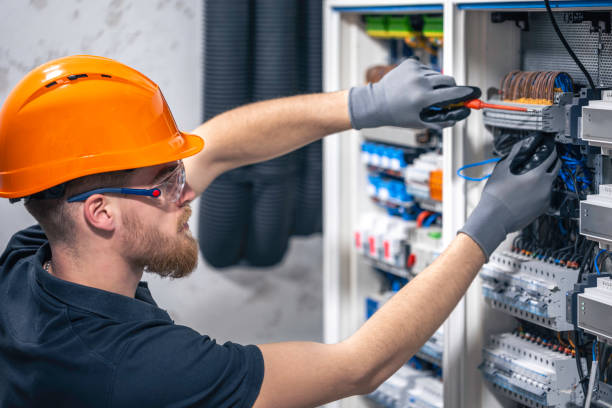 Best Electric Panel Repair  in Greenville, FL